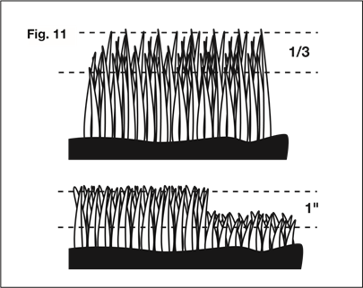Przestrzegaj zasady 1/3