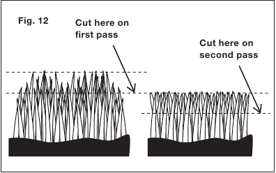 Wysoka trawa wymaga stopniowego cięcia