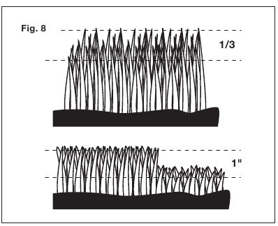 Nasveti za ko&scaron;njo - Upo&scaron;tevajte pravilo 1/3