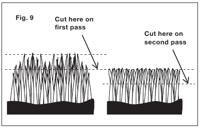 Visoka trava zahteva postopno ko&scaron;njo
