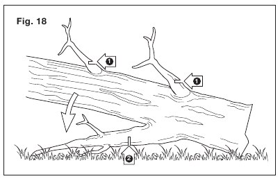Okresivanje grana stabla