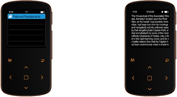 Livre &eacute;lectronique