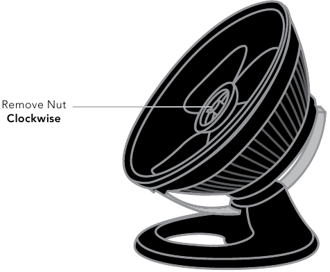 Limpeza - REMO&Ccedil;&Atilde;O DA P&Aacute;