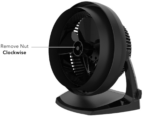 Valymas - MENTĖS NUĖMIMAS