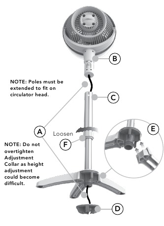MONT&Aacute;Ž STOJANA