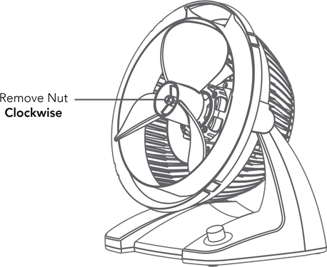 Limpeza - Remo&ccedil;&atilde;o da p&aacute;