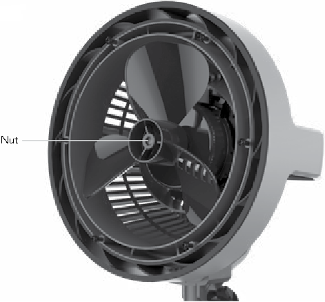 Limpieza - Extracci&oacute;n de la aspa