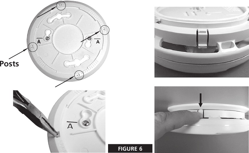 O'z-o'zidan himoyalash xususiyati