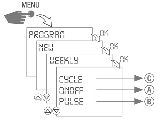 Create weekly program