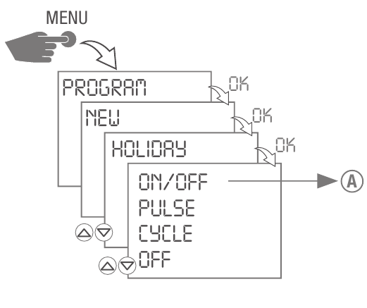 Creating a holiday program