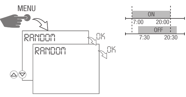 Random switching program