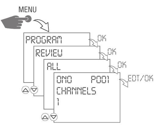 View and edit program