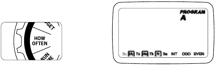 PROGRAMAR EL PROGRAMADOR - Paso 5