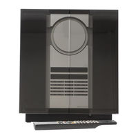 Bang & Olufsen BeoSound 3000 Manual De Usuario