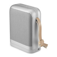 Bang & Olufsen Beoplay P6 Manual De Usuario