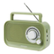 Manualul Radio Crosley CR3041A - Forte